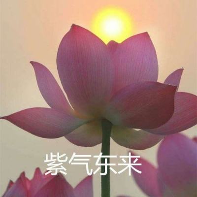 德古拉之怒手游(暂未上线)v3.0.1 安卓中文版